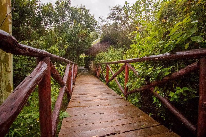Dove Nest Lodge Naivasha Bagian luar foto